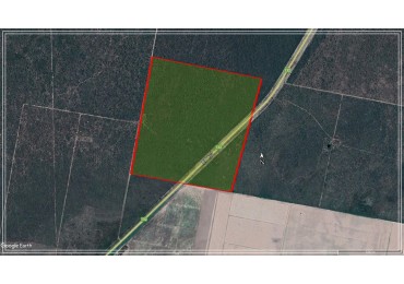 Campo Renoval (ganadero) ampliable a Agricola