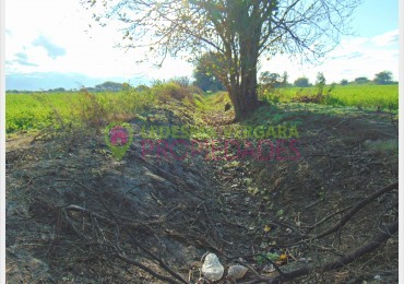 VENTA de Campo 7.22Ha con riego.